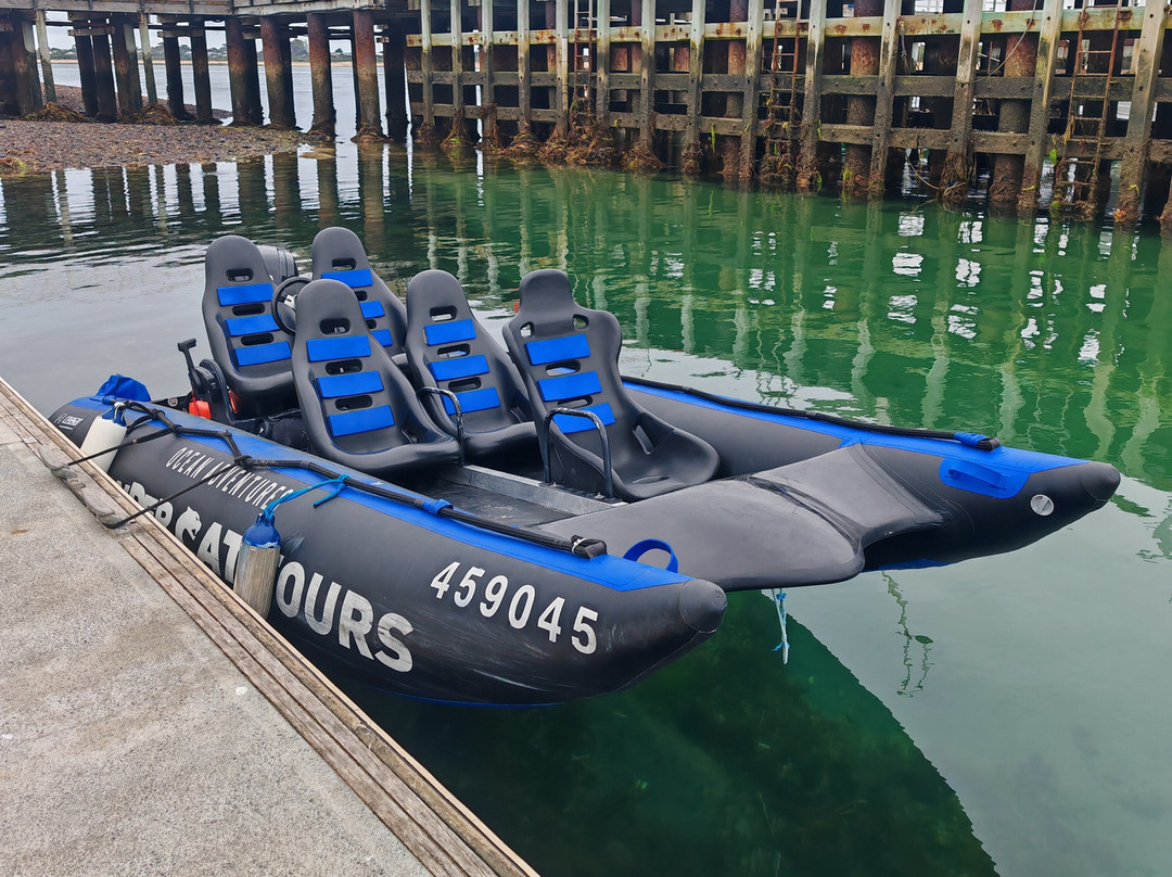 Ocean Adventures Phillip Island-圣雷莫必去景点