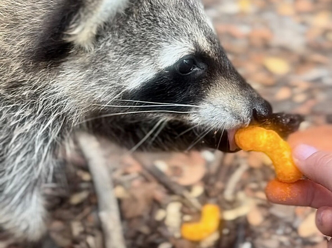 So Flo Water Adventures-迈阿密必去景点