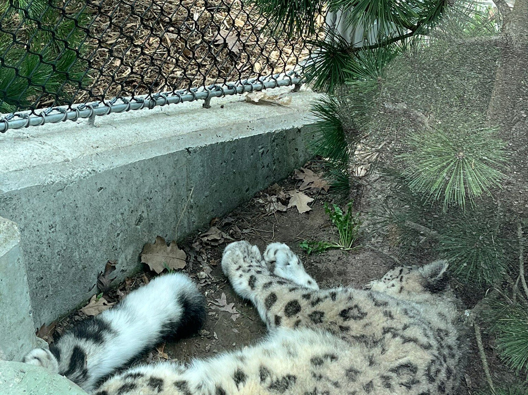 Seneca Park Zoo-罗切斯特必去景点