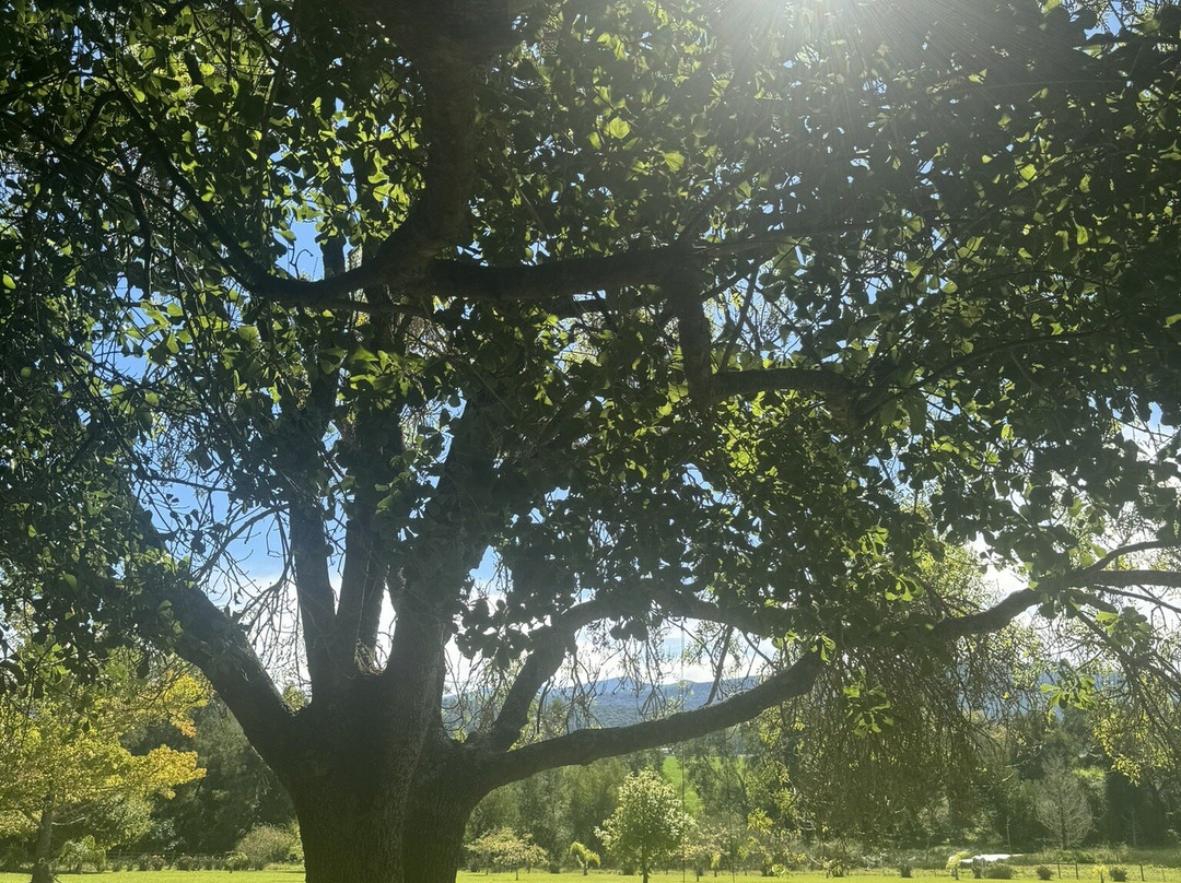 Vala House-Rheenendal必去景点