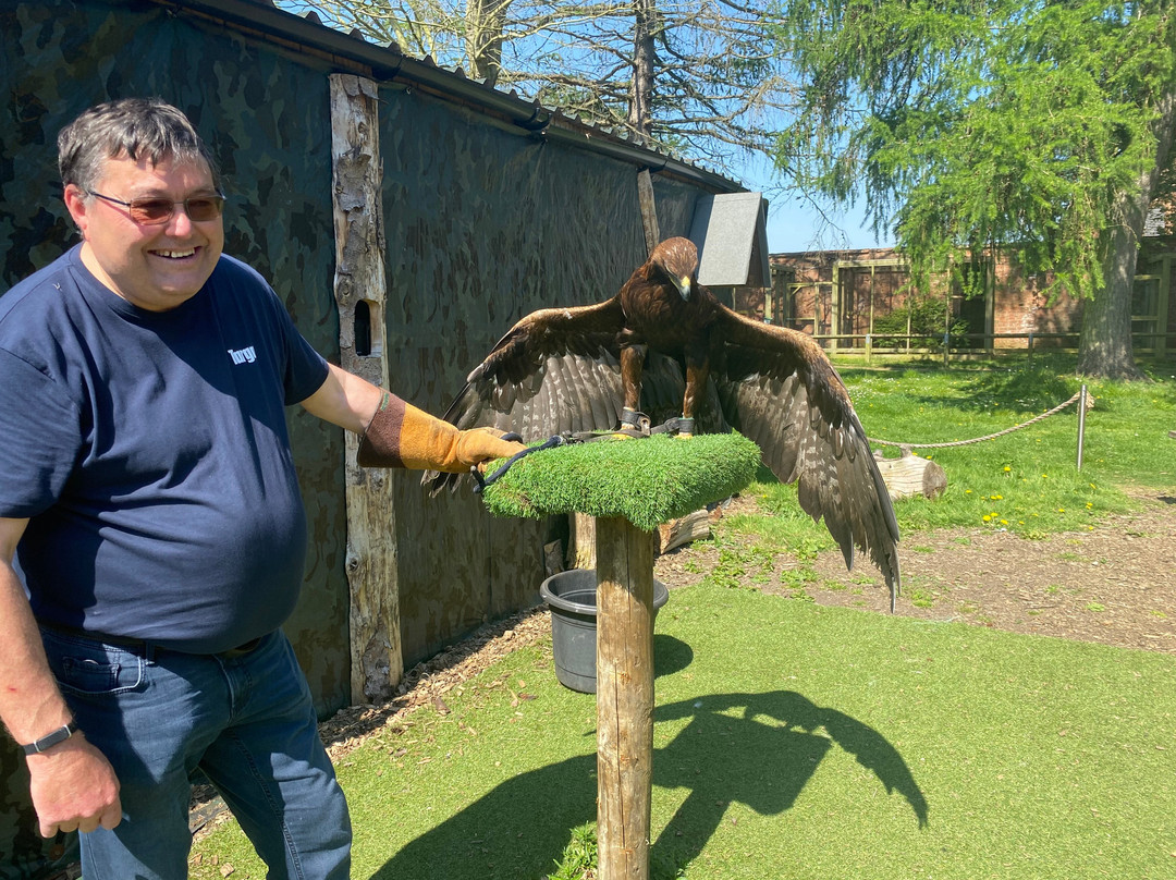 York Bird of Prey Centre景点图片