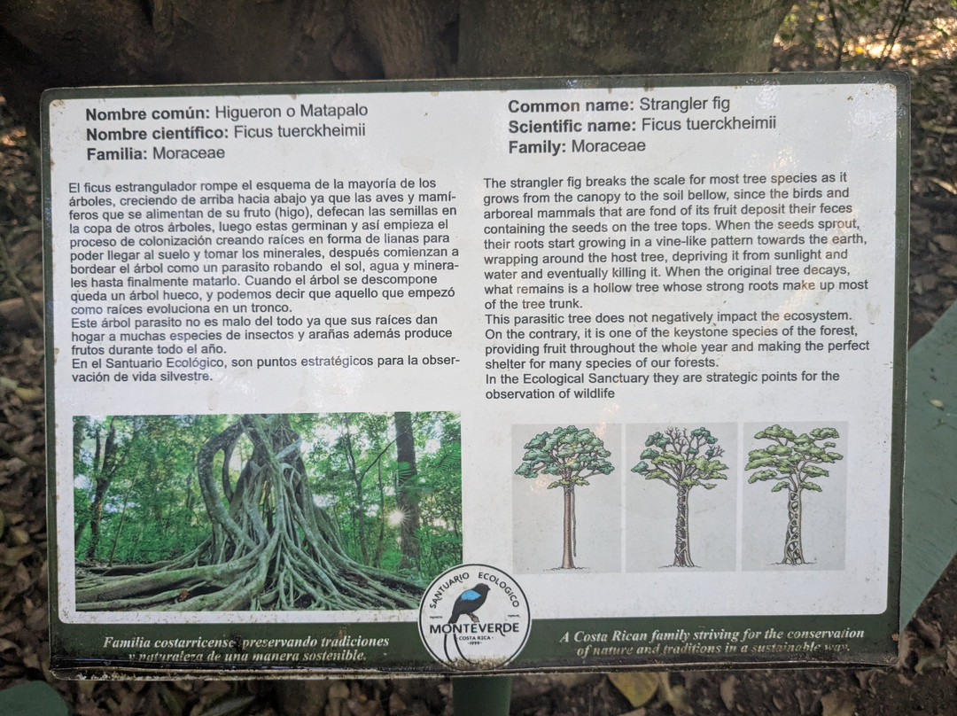 Ecological Sanctuary景点图片