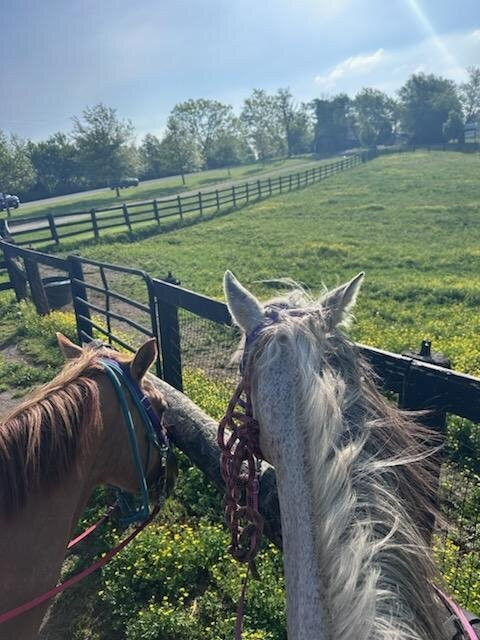 Red Fern Riding Center-Simpsonville必去景点