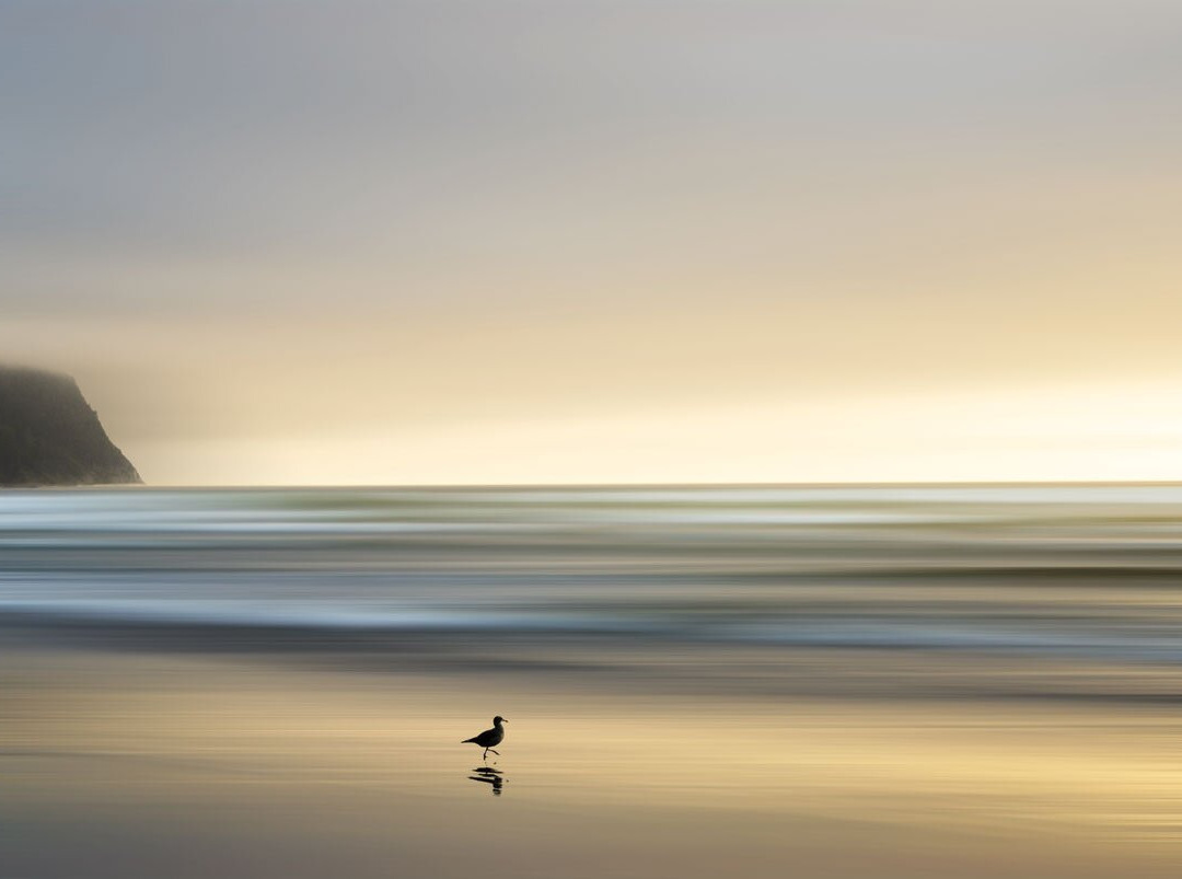 Blue Seas Gallery景点图片