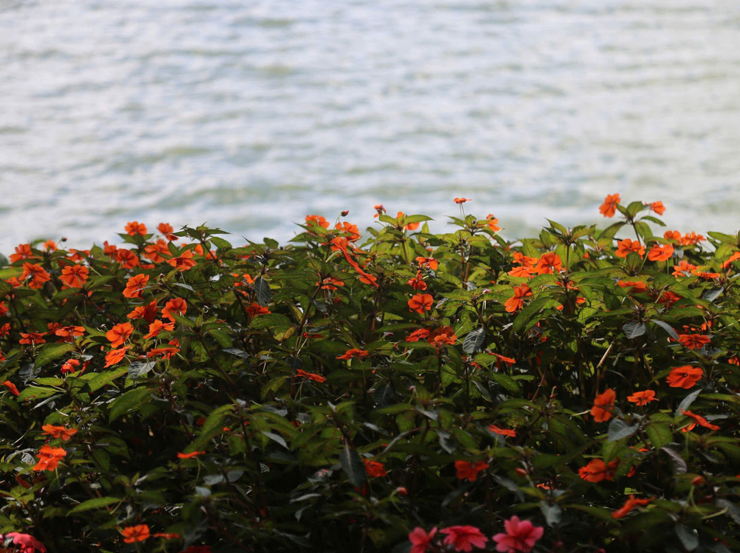 特拉可塔酒店及度假村主图