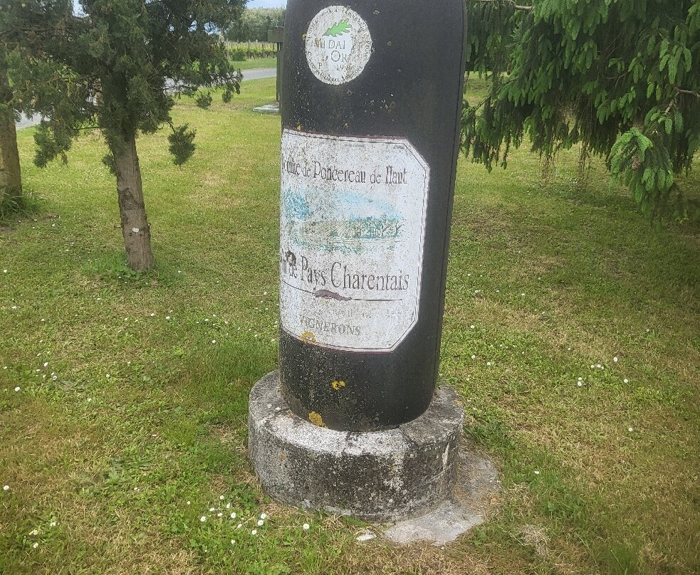 Domaine Poncereau de haut景点图片