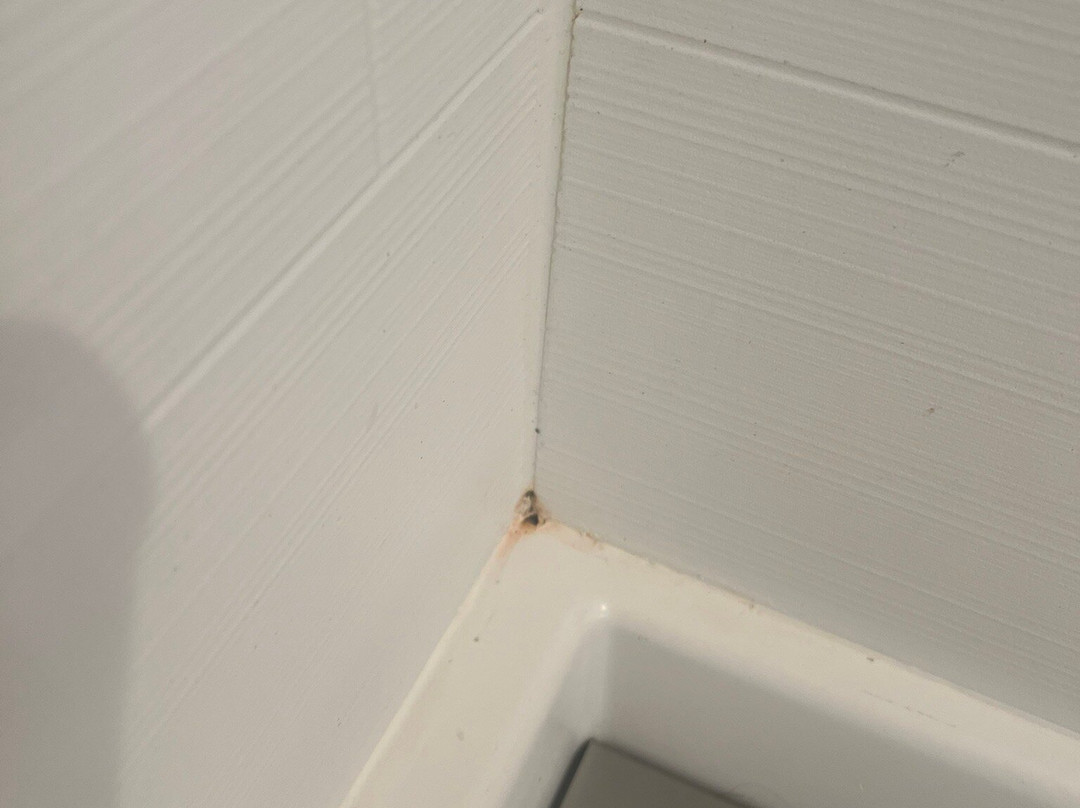 Holiday Inn Express & Suites Charlottesville By IHG主图