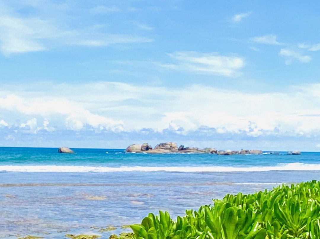 Hikkaduwa Jeep tour and tuk-tuk tour-希克杜沃必去景点