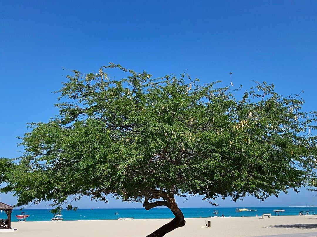 Maryam Beach-基什岛必去景点