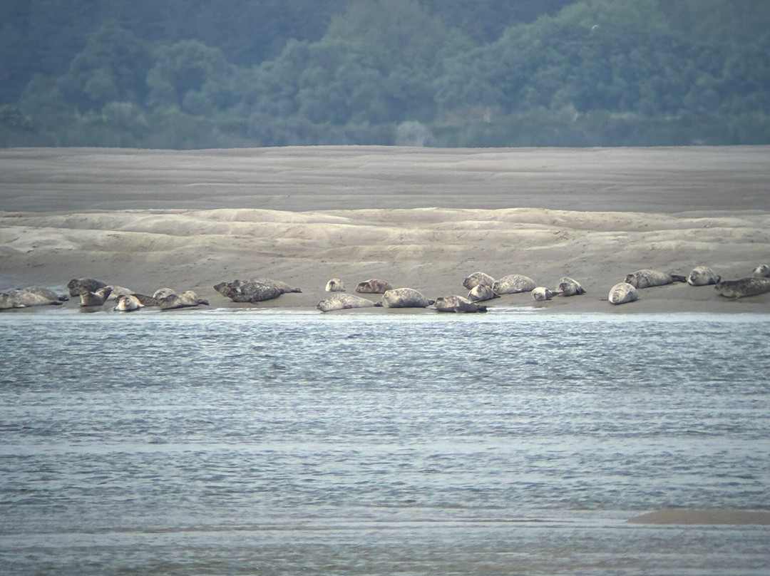 Rando Baie de Somme-Favieres必去景点