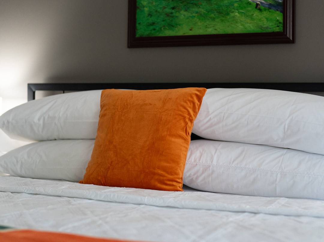 Park Vista Motor Lodge主图