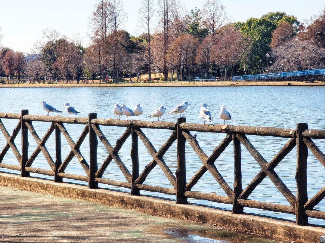 Misato Park-三乡市必去景点