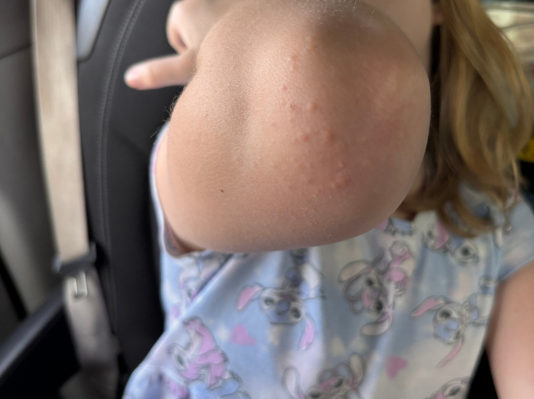 贝斯特韦斯特迪尔菲尔德旅馆主图