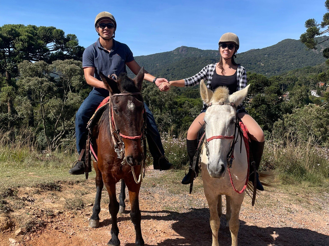 Haras Encanto Horse-蒙特贝尔德必去景点