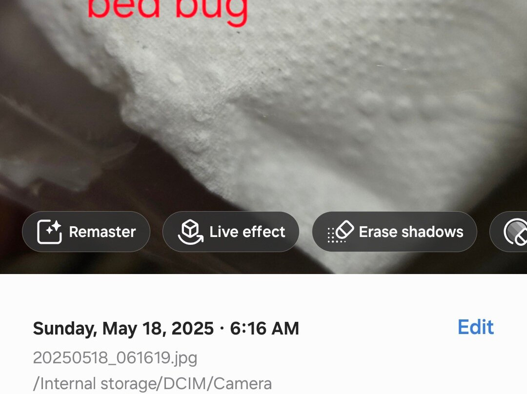 Lakeside Resort and Conference Center主图