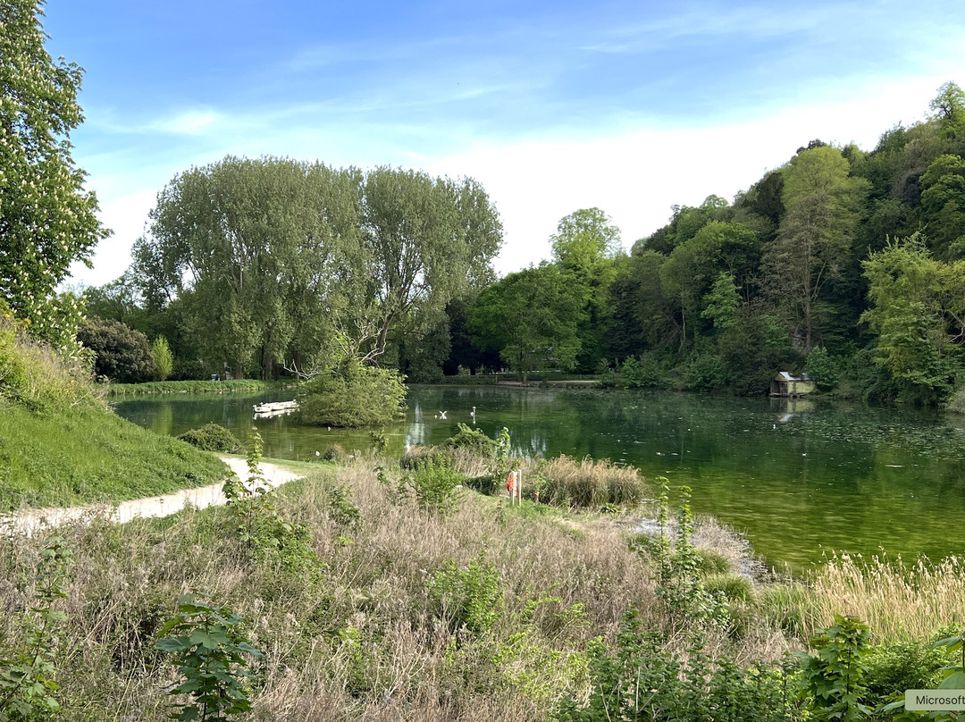 Swanbourne Lake景点图片