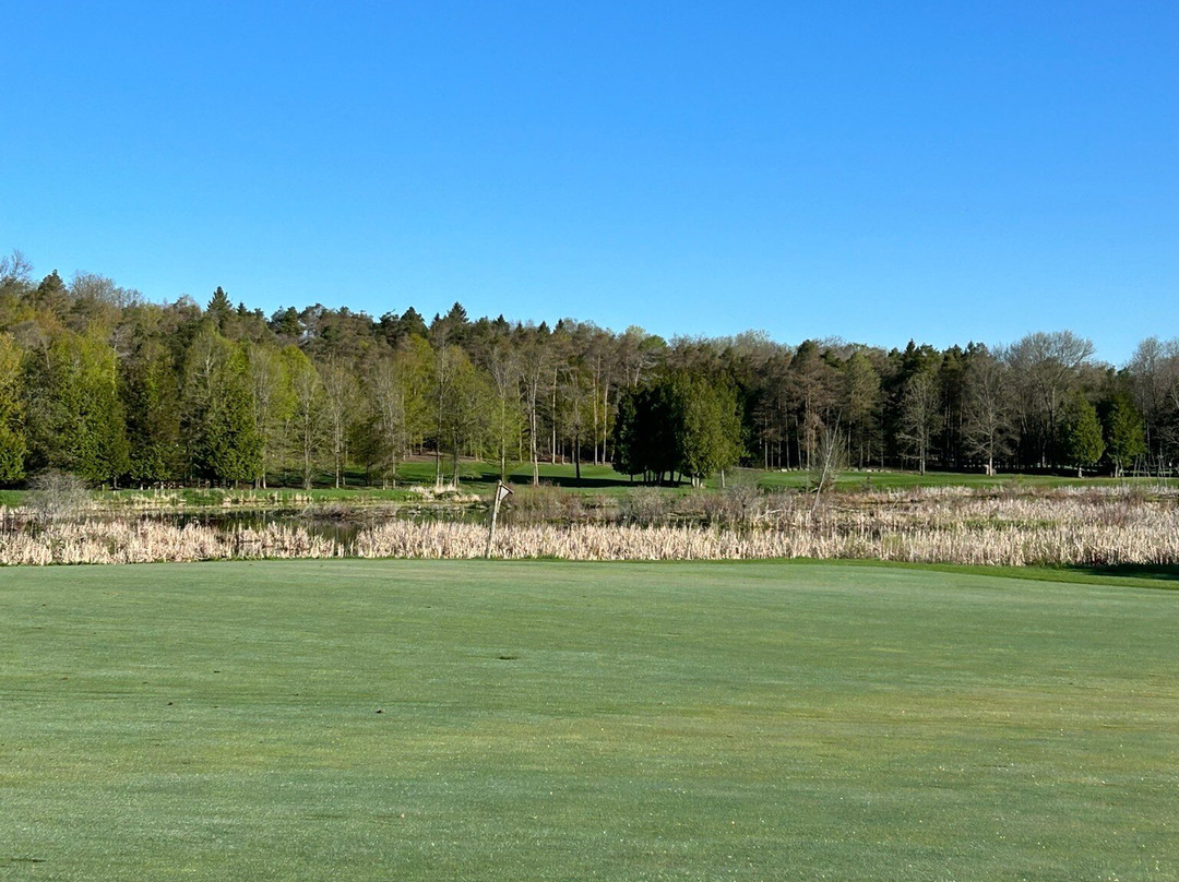 Black Bear Ridge Golf & Resort景点图片