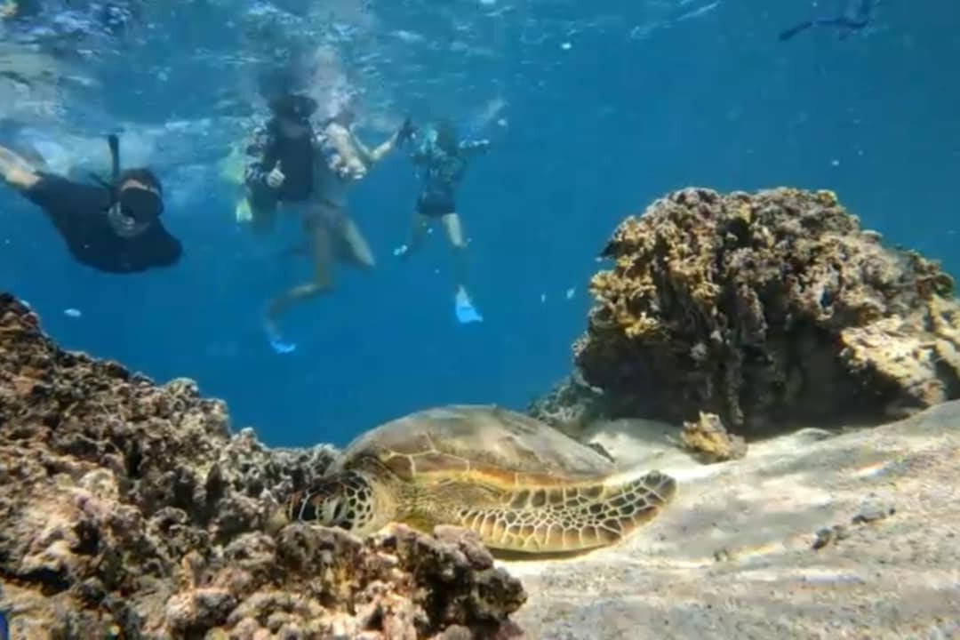 Sea Pace Rarotonga-堤堤卡维加必去景点
