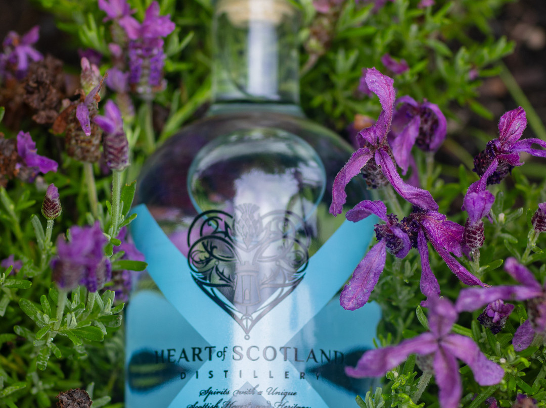 Heart Of Scotland Distillery-Clackmannan必去景点