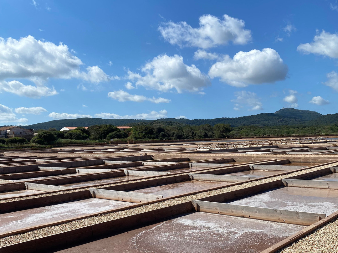 Sal de Menorca - Salinas de La Concepción-Mercadal必去景点