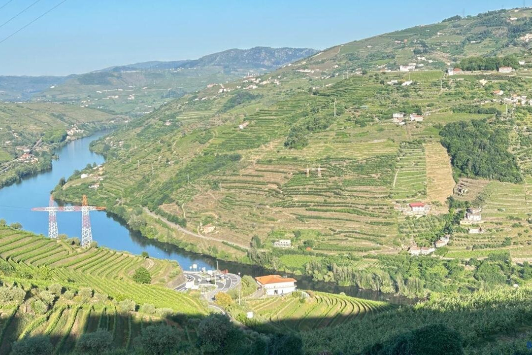 Sedielos旅游攻略图片