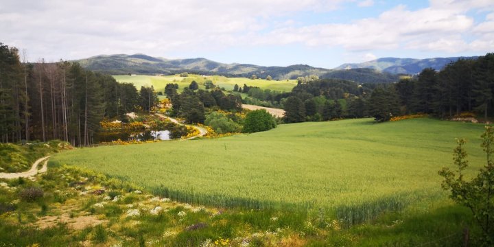 Agriturismo BioSila-浴室