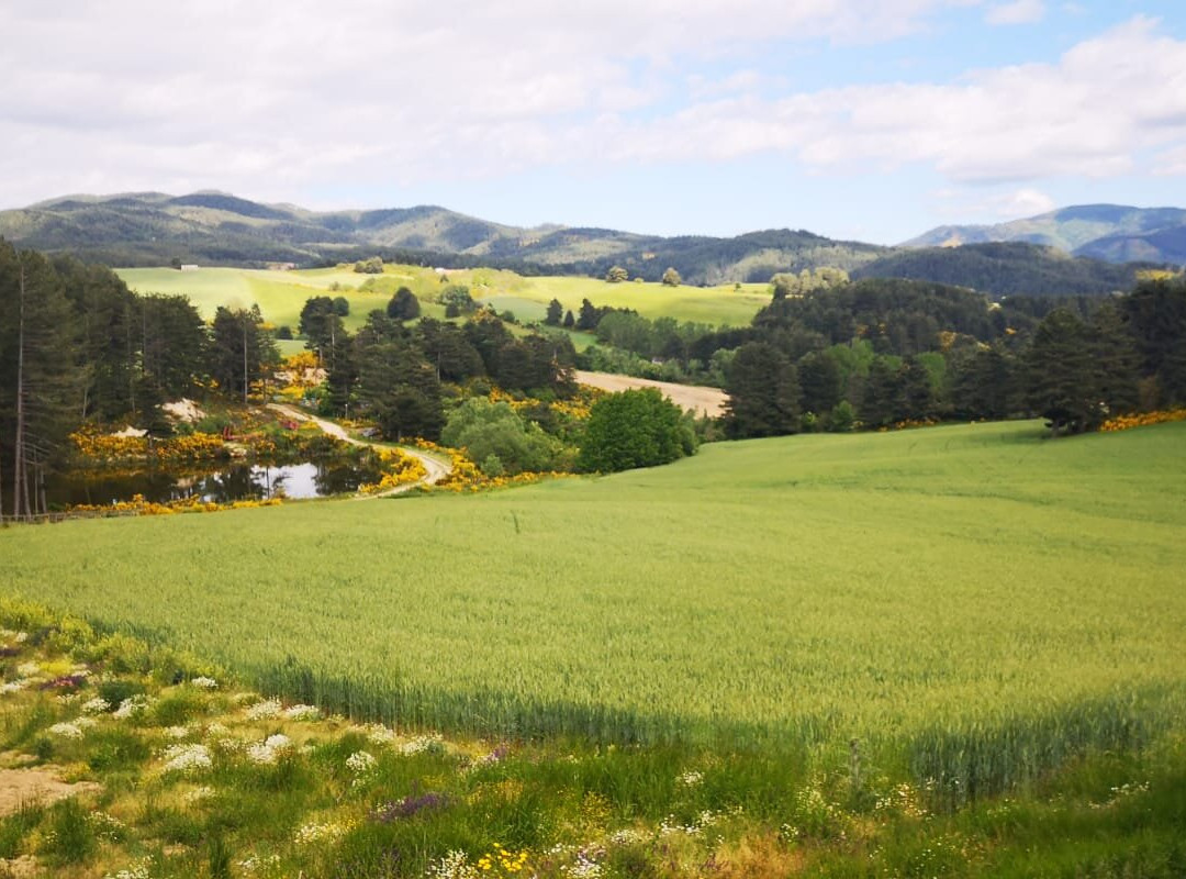 Agriturismo BioSila主图