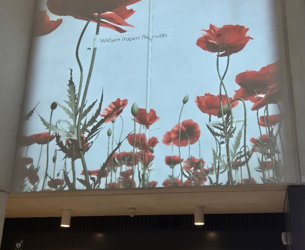 Les Alouettes Battlefield Tours-Hardecourt-aux-Bois必去景点