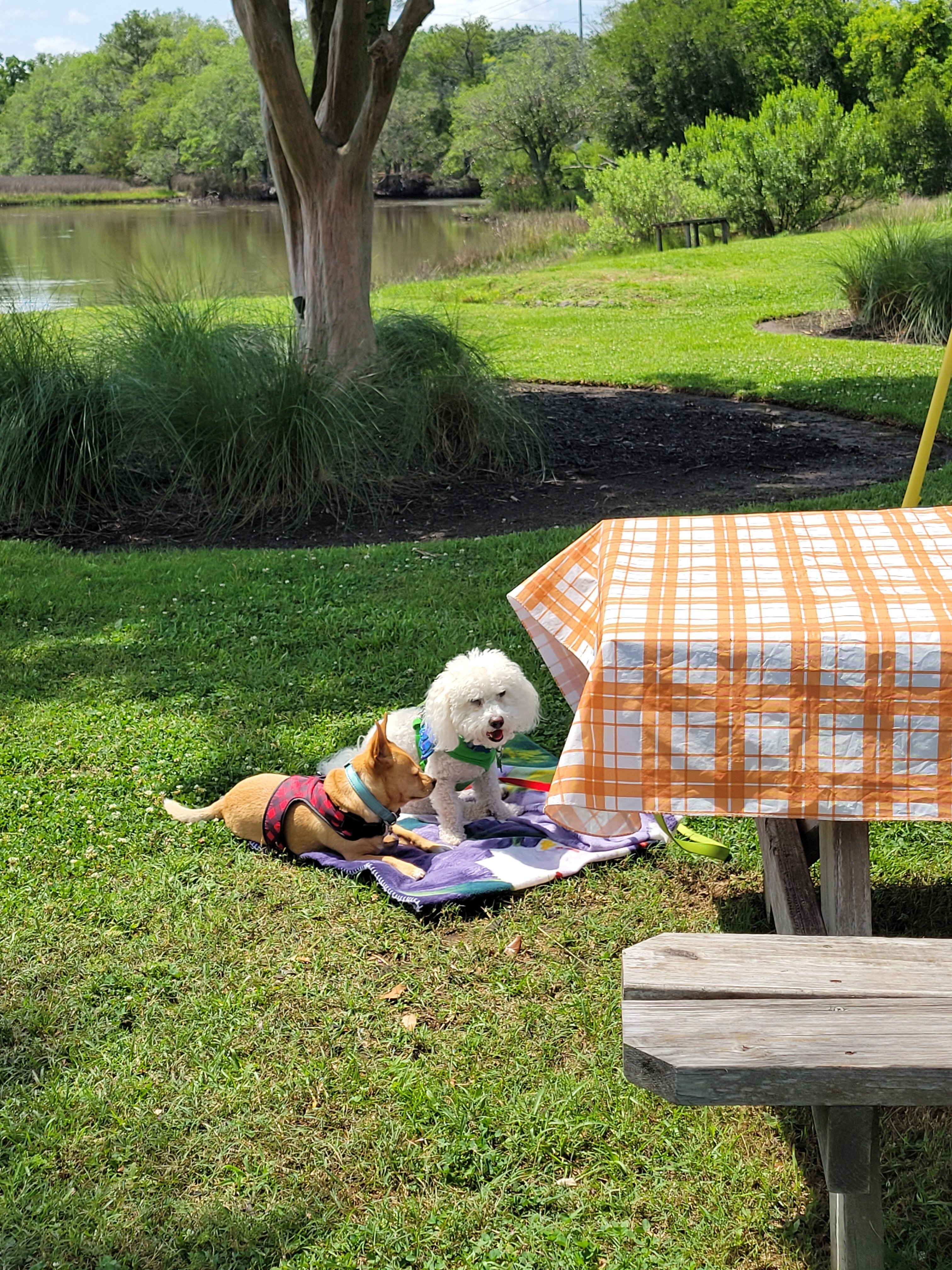 Charleston Creekside Inn-浴室