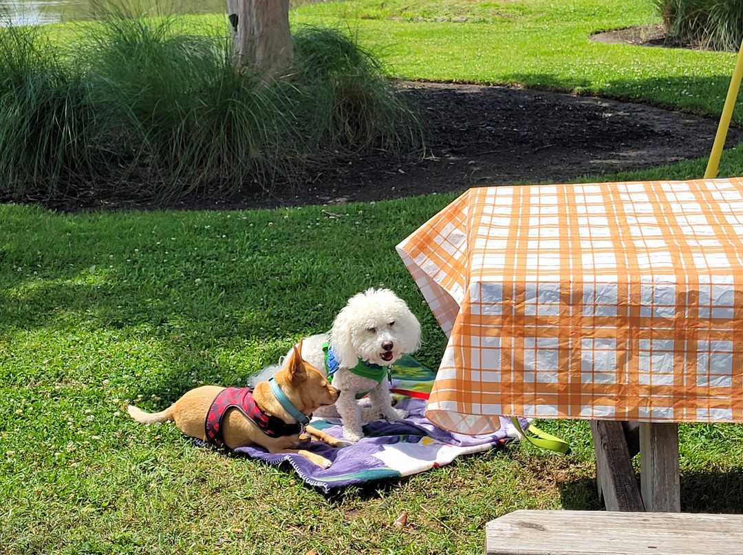 Charleston Creekside Inn主图