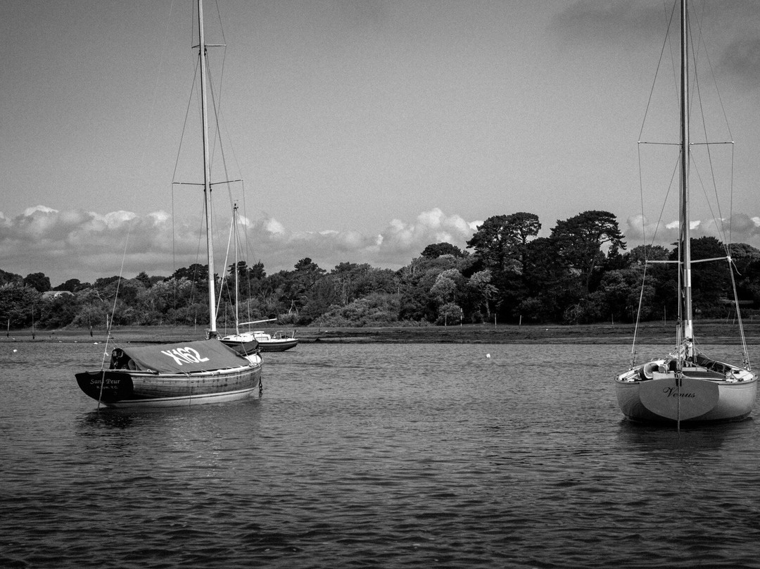 Puffin Cruises Lymington景点图片