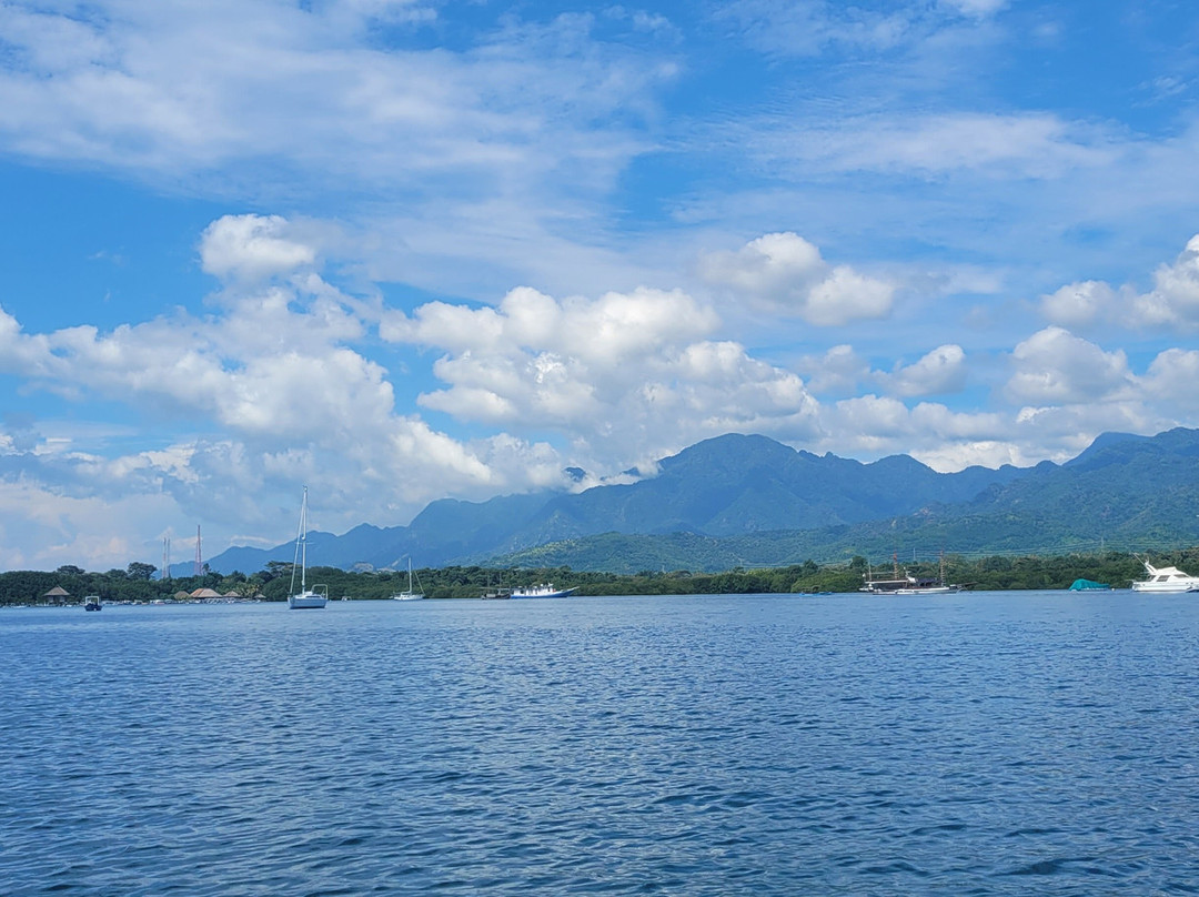 Snorkeling Menjangan景点图片