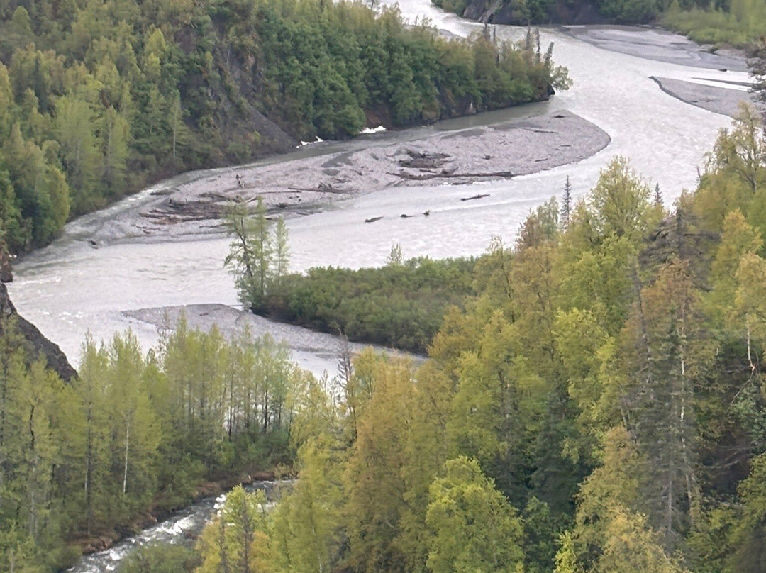 Denali Star Train景点图片