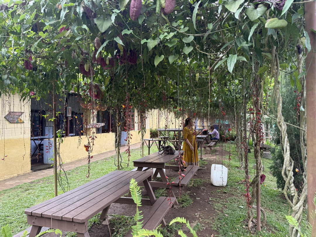 Cauvery Peak-亚尔考德必去景点