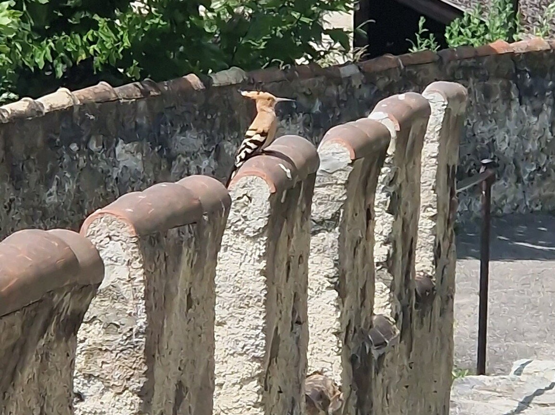 Castel Coira - Churburg-Sluderno必去景点