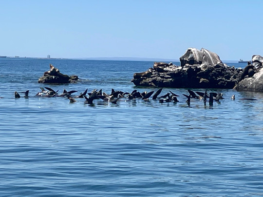 Baja Expeditions-拉巴斯必去景点