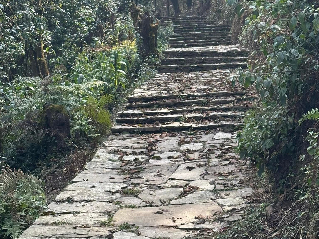 Tamagi Museum And Learning Centre-博卡拉必去景点