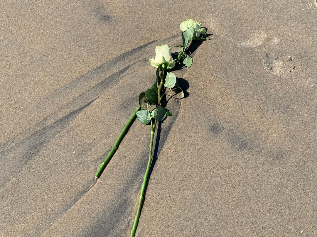 弗吉尼亚海滩-弗吉尼亚海滩必去景点