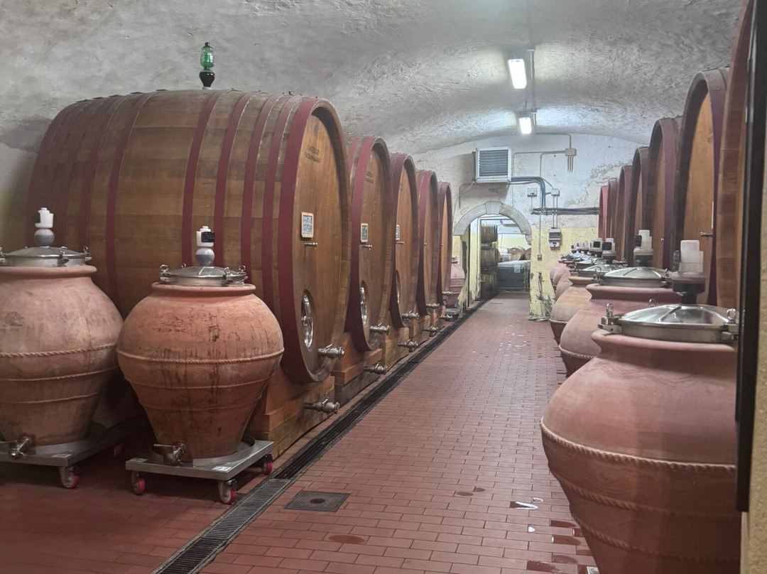 Castello Vicchiomaggio-格雷韦伊恩基亚恩蒂必去景点