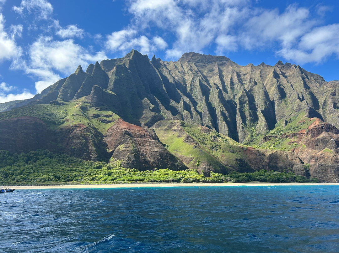 Captain Js Kauai Offshore Adventures-埃里埃利必去景点