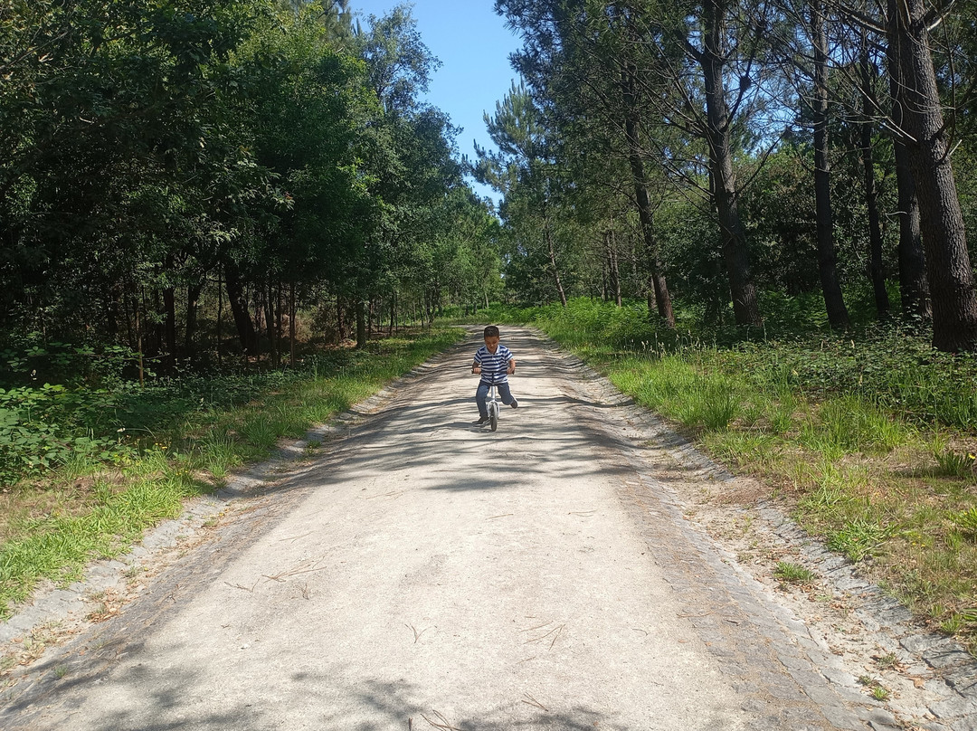 Parque de Avioso - S. Pedro-Maia必去景点