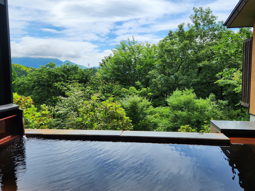 Ryu no Hige / Bettei Yumuta主图