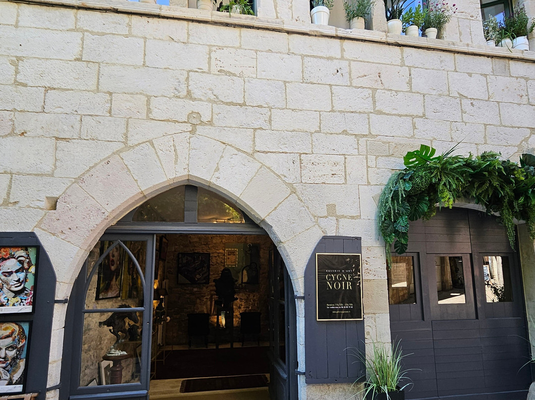 Galerie D'art Cygne Noir-Saint-Antonin Noble Val必去景点