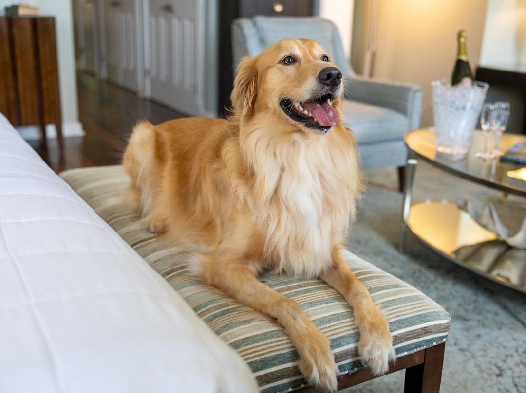 Olde Harbour Inn主图