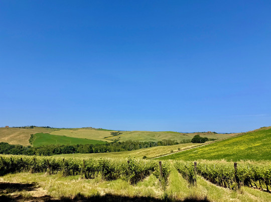 Agriturismo Pometti主图