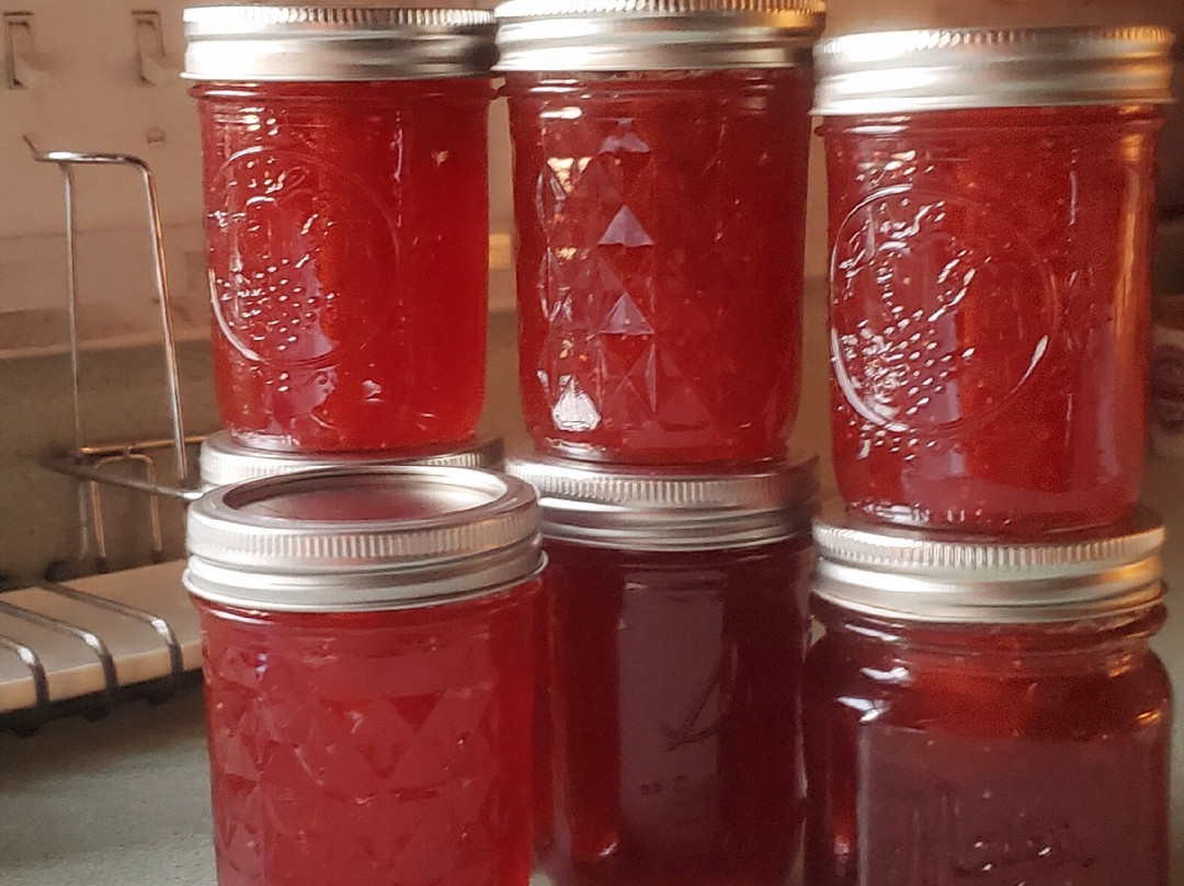 Stade's Farm and Market-McHenry必去景点