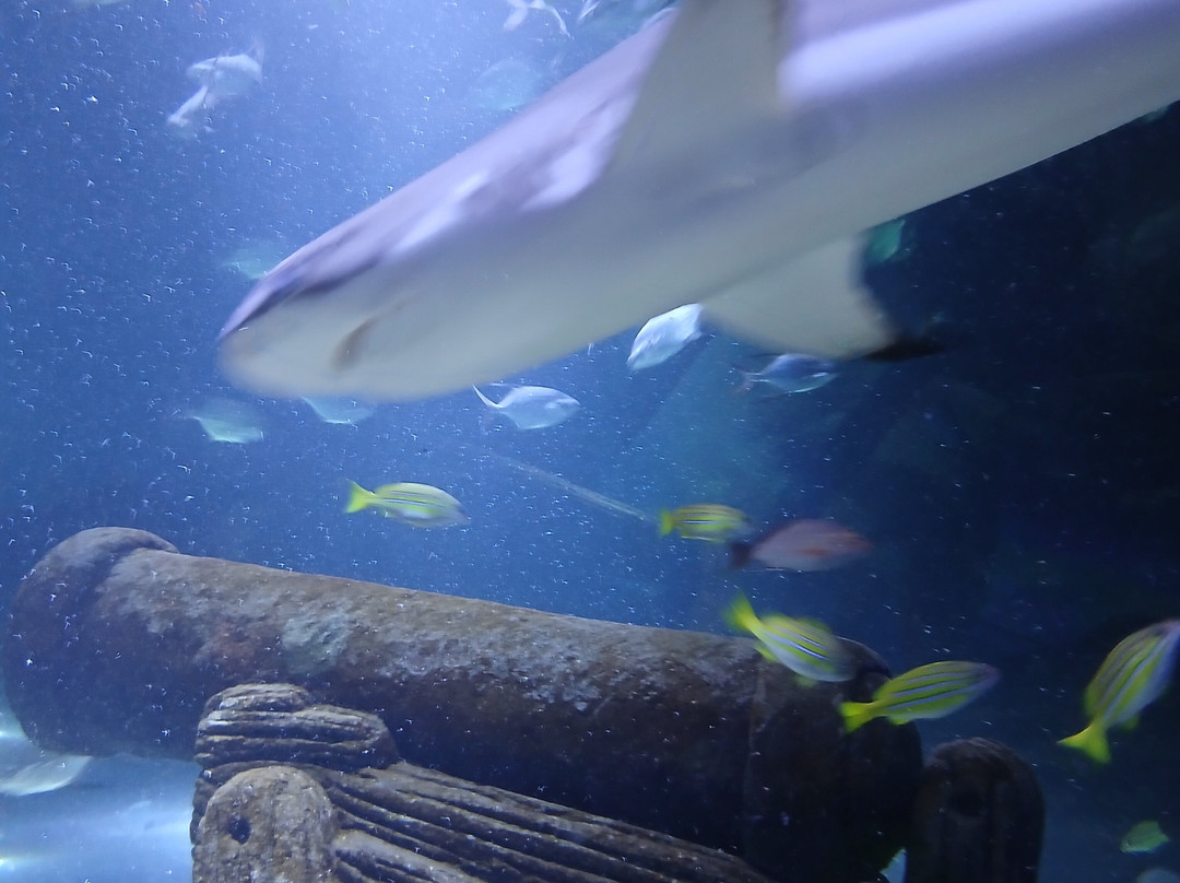 Travelodge Great Yarmouth主图