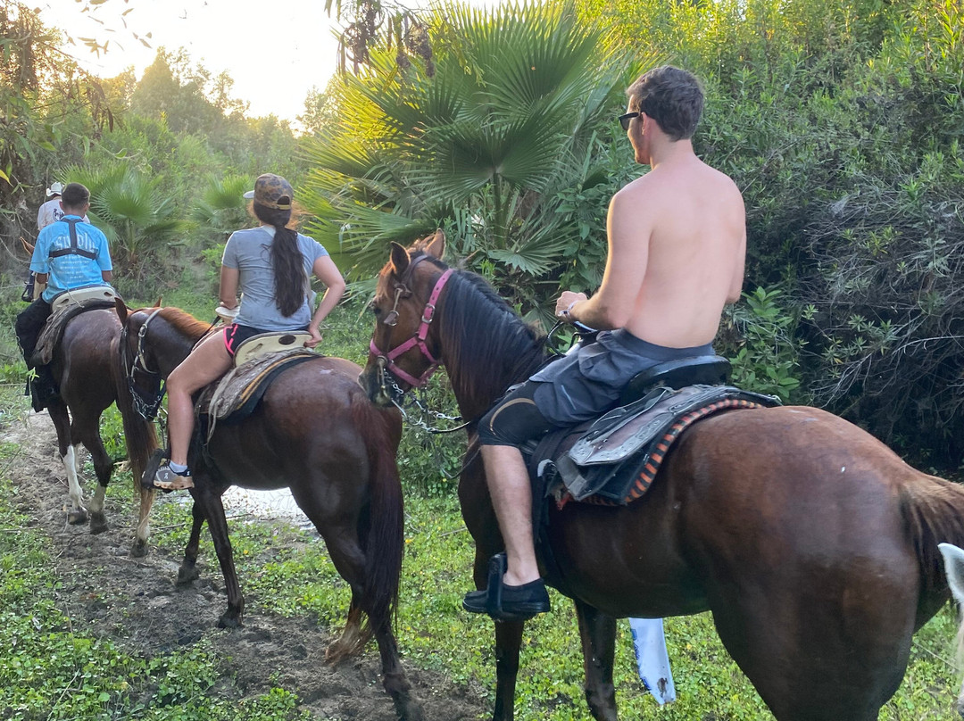 Rancho Animas-Animas Bajas必去景点