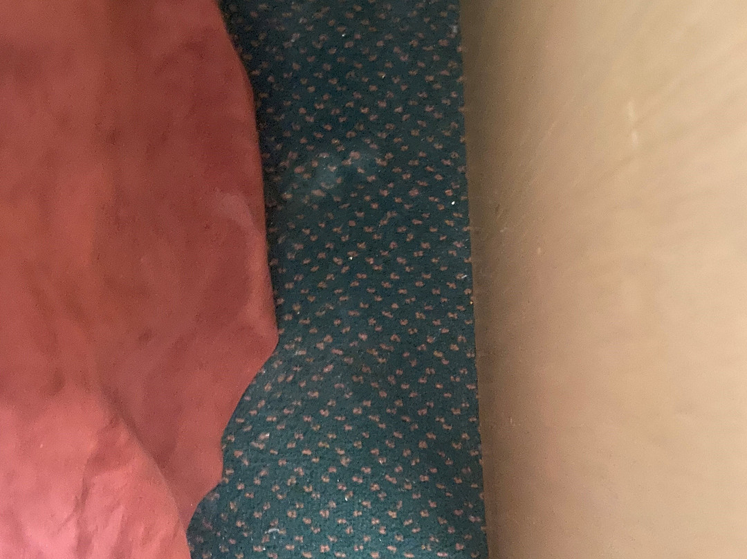 Travelodge Cambridge - Waterloo主图