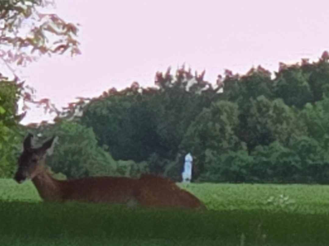 AmericInn by Wyndham Okoboji主图